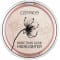CATRICE HIGH GLOW MINERAL HIGHLIGHTING POWDER NUMERO 020